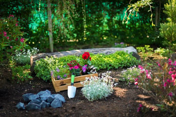 garden with herbs, veggies and blossoms