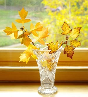 Fall vase-450512-edited