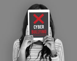 cyber bully-480533-edited