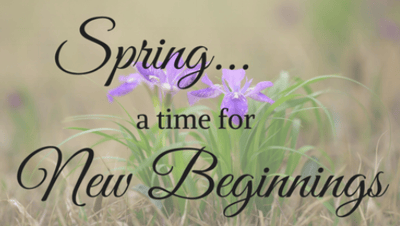 Spring - New beginnings3-980127-edited.png