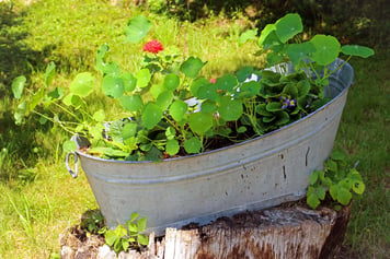 tub_planter.jpg